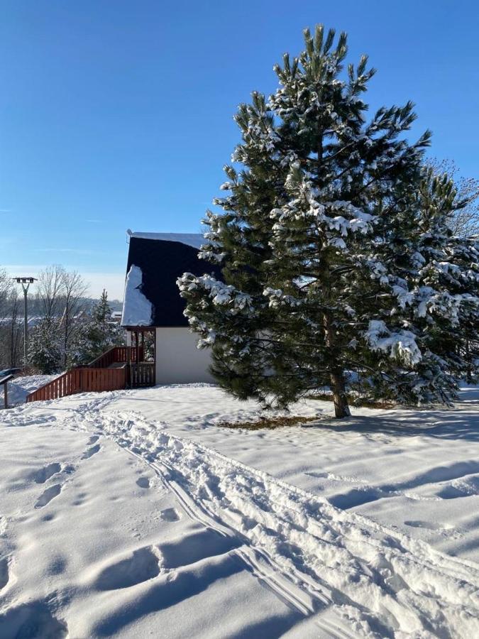 Vila 66 - Cista V Krkonosich Černý Dŭl Eksteriør billede