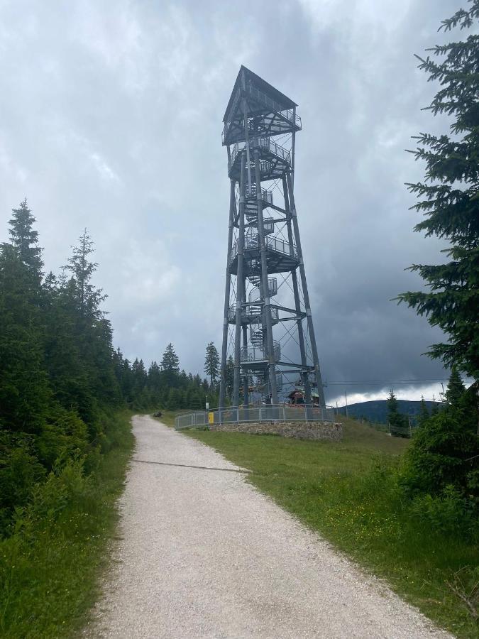 Vila 66 - Cista V Krkonosich Černý Dŭl Eksteriør billede